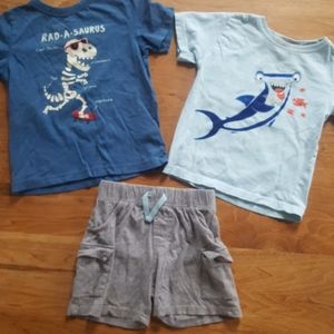 Boys Bundle 3T